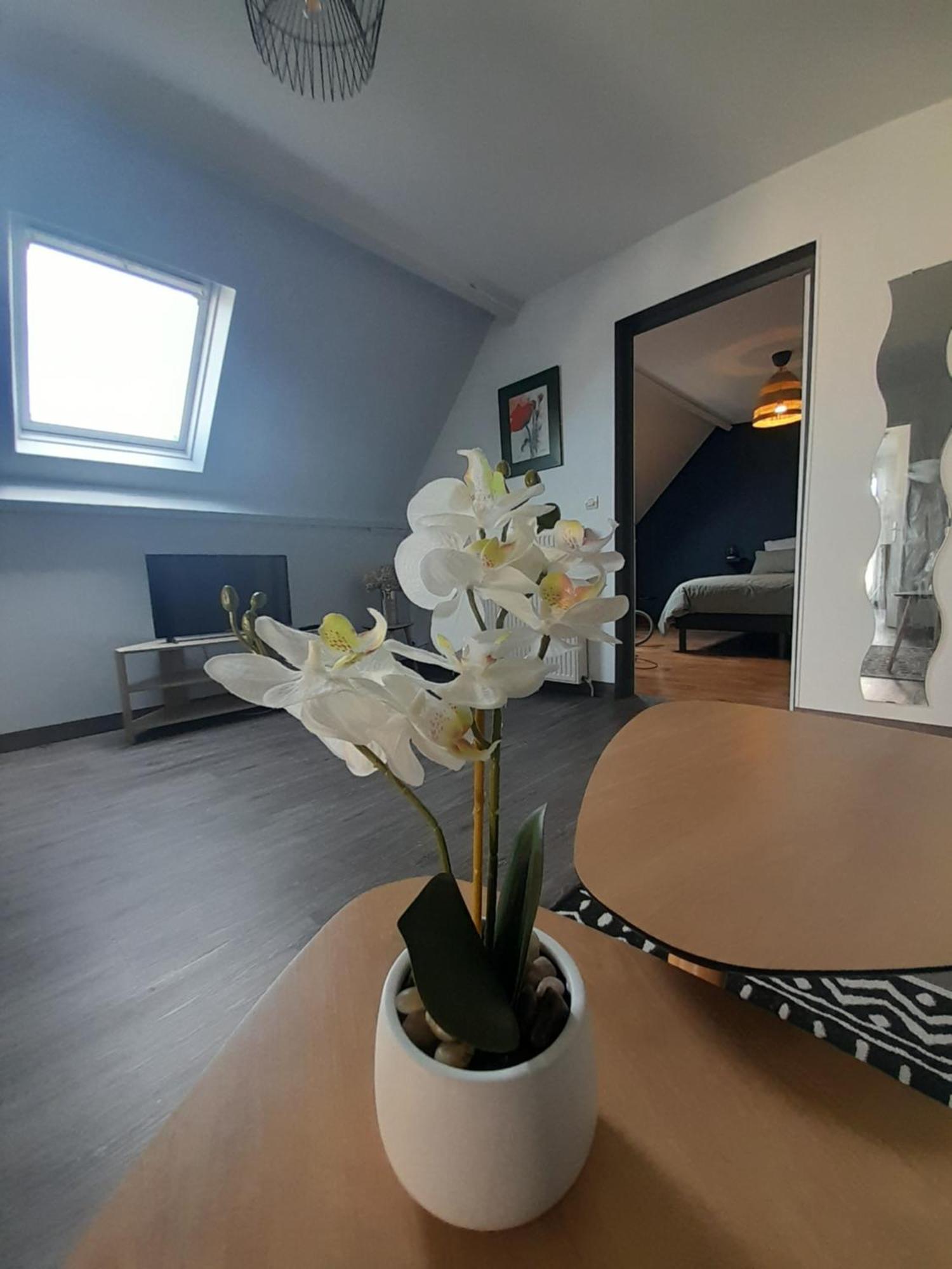 Le Bon Plan Entre Caen Et La Mer ** Draps Et Menage Inclus !** Giberville Exterior foto